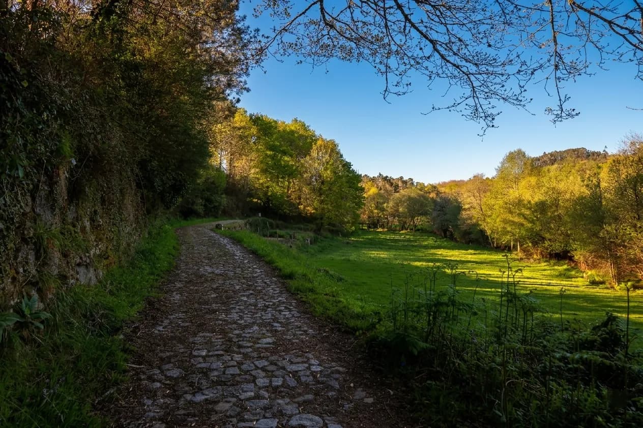Paisagem ao longo do Caminho Português à passagem por Cossourado (1 de 20)